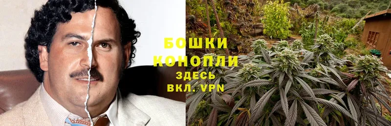 Каннабис Ganja  Дорогобуж 